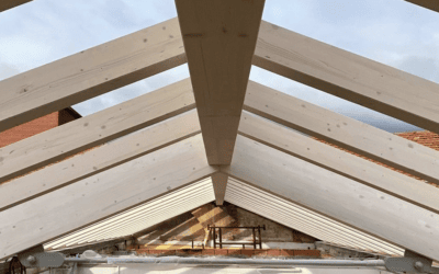 Il legno da costruzione e le analisi per la sicurezza (2)