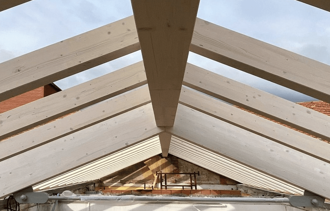 Il legno da costruzione e le analisi per la sicurezza (2)