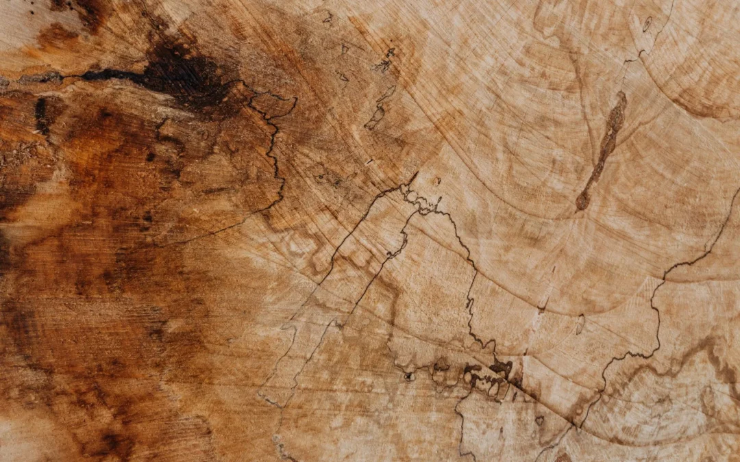 Le caratteristiche fisiche del legno (2)