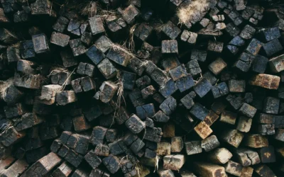 La storia della famiglia Stalletti (1): secoli passati tra alberi e odore di resina