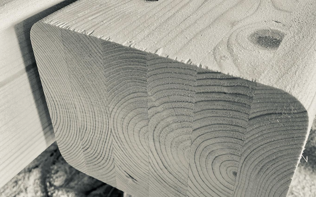 Il legno da costruzione e le analisi per la sicurezza (1)