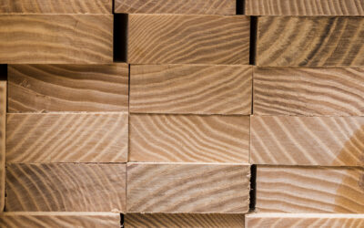 I prodotti di legno e la produzione industriale (2)